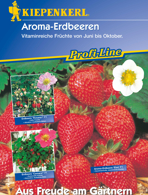 Erdbeeren